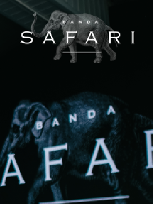 Modal video thumbnail