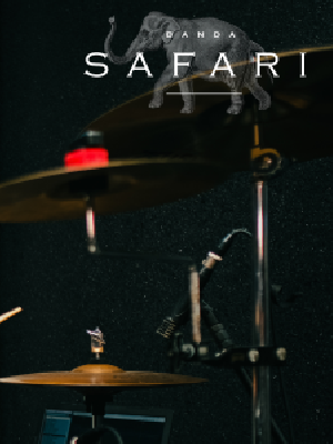 Modal video thumbnail